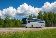 Wynajem autokarów na wycieczki szkolne - Michalina.jpg